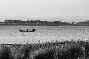 Die Bucht von