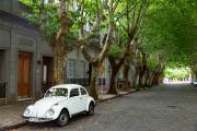 Allee mit Käfer in Colonia Sacramento