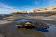 Die Insel aus dem Watt gesehen
