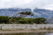 Am Ufer des Fjordes bei Caleta Maria