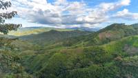 durch die grüne Berglandschaft von Kolumbien