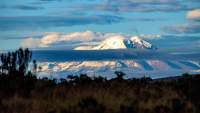 der Chimborazo im Morgennebel