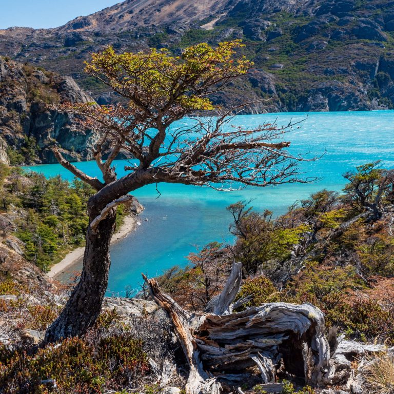 Perito Moreno Nationalpark